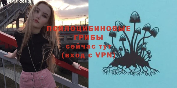трава Верхнеуральск