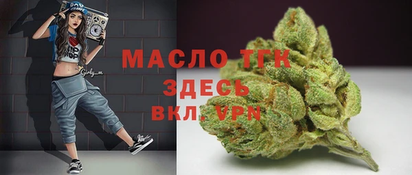 мдпв Дмитров