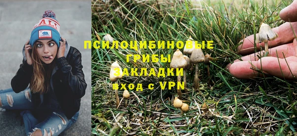 мяу мяу мука Верхний Тагил