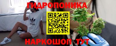 индика Заволжье