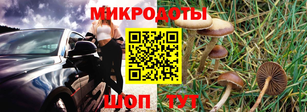 Псилоцибиновые грибы Psilocybine cubensis  купить  цена  Можайск  Вход с VPN 